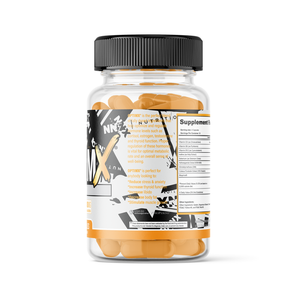 ONNX Optimx — image 2